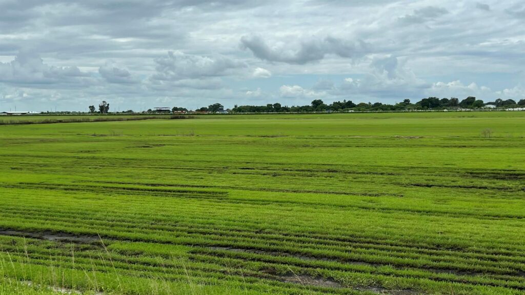 400 State Road 80, Belle Glade FL 33430
