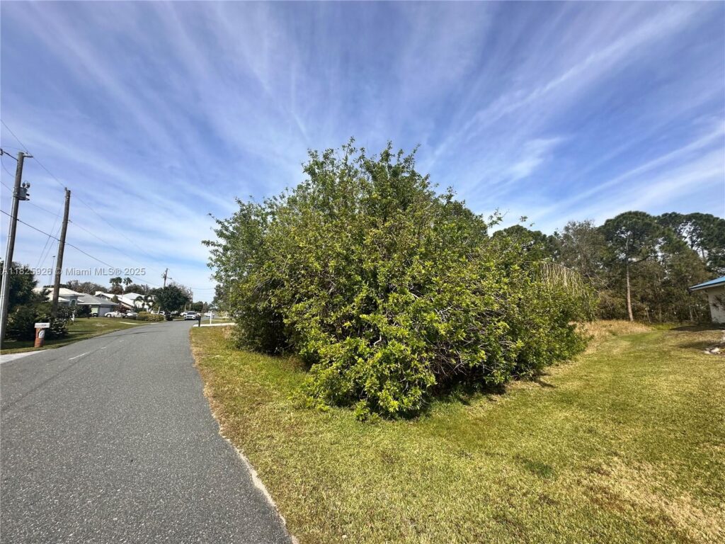 131 Blue Moon Avenue, Lake Placid FL 33852