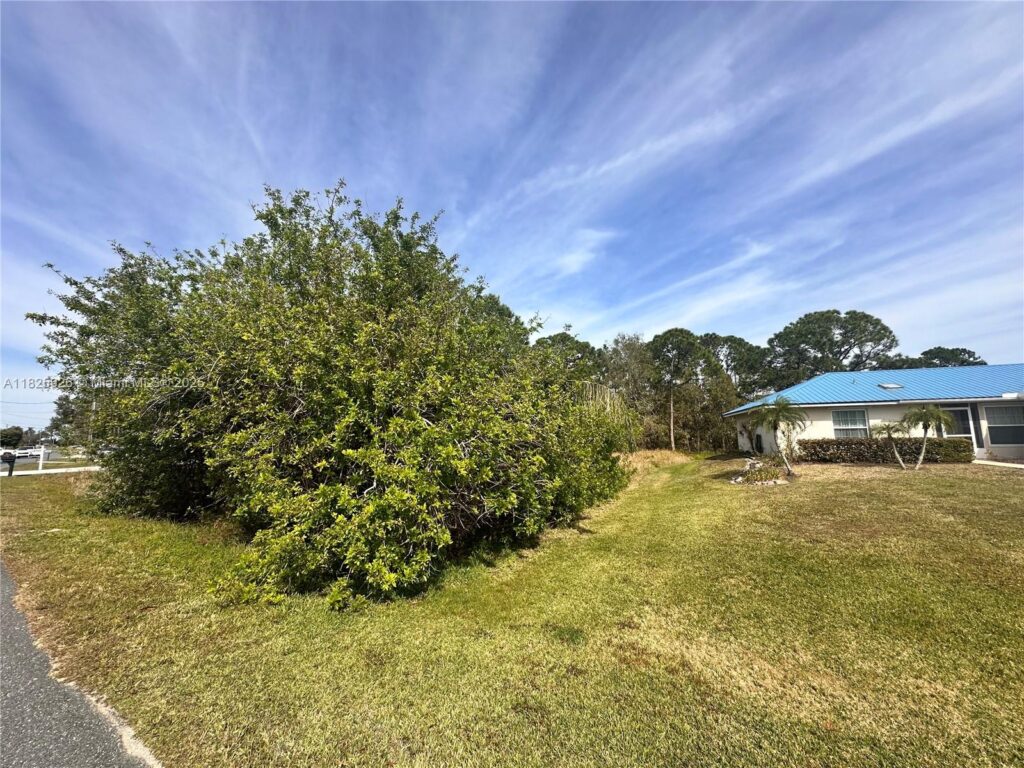 131 Blue Moon Avenue, Lake Placid FL 33852
