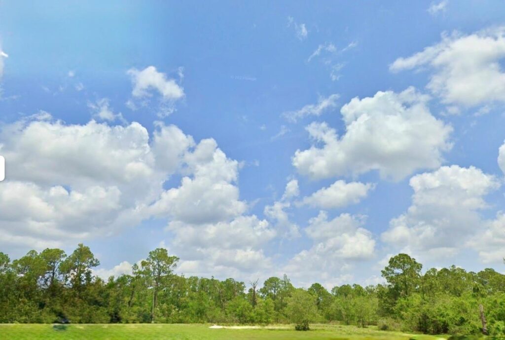 1218 Iris Avenue, Sebring FL 33875