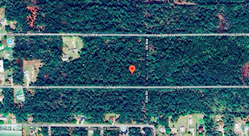 1218 Iris Avenue, Sebring FL 33875