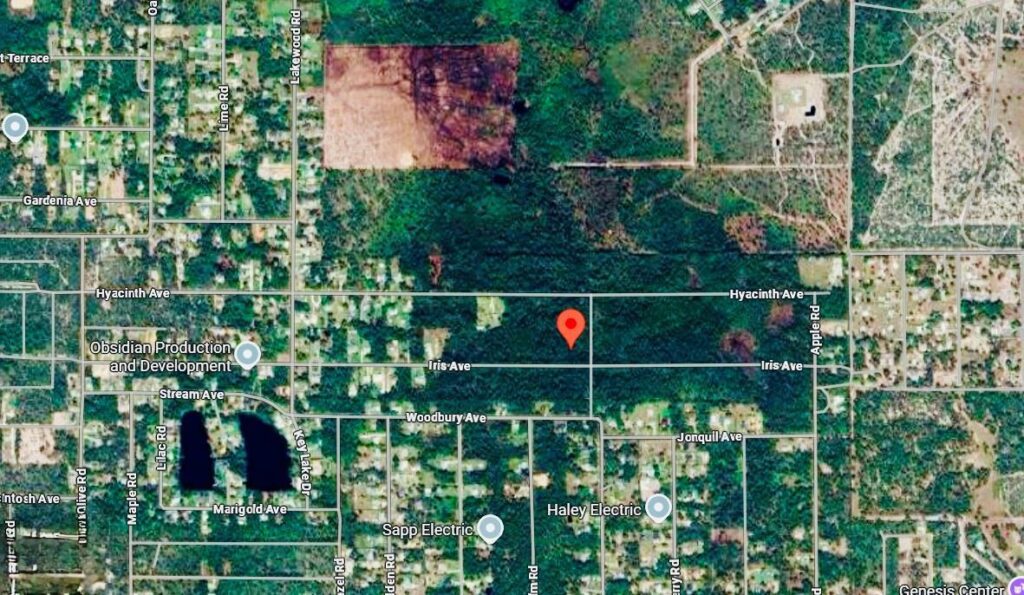 1218 Iris Avenue, Sebring FL 33875