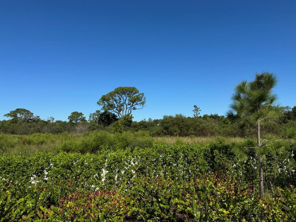 13105 Monte Rosa Court, Palm Beach Gardens FL 33412