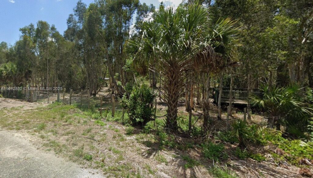 1015 Legion Ave, Lehigh Acres FL 33974