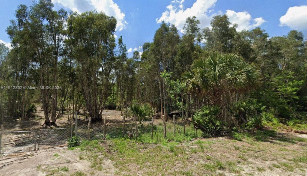 1015 Legion Ave, Lehigh Acres FL 33974