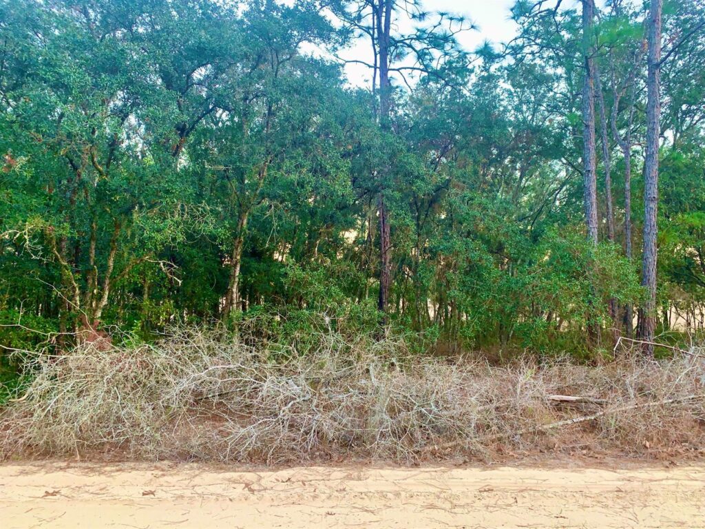 301 S Crestview Avenue, Inverness FL 34452