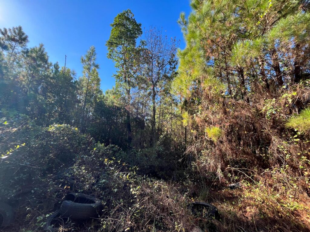223 Mourning Dove Road, FL 32189