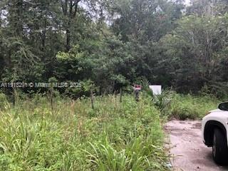 19220 N N Highway 329, Other City – In The State Of Florida FL 32667