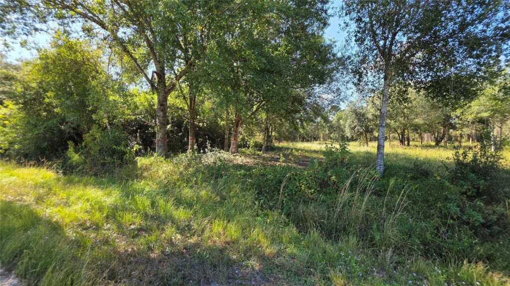 340 N Jinete Street, Clewiston FL 33440