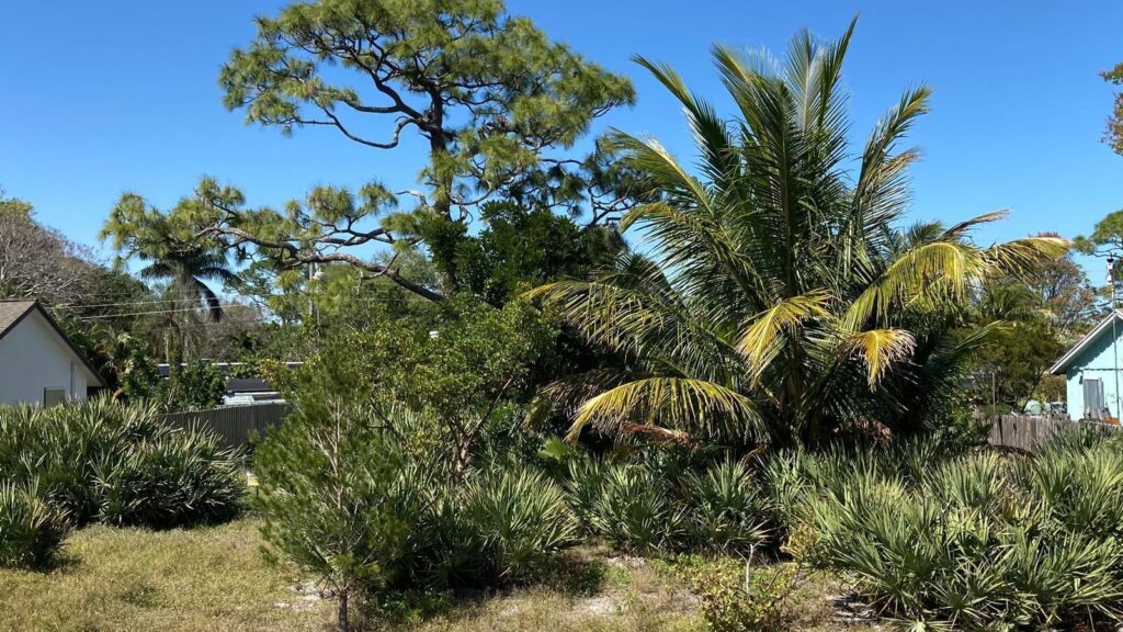 6483 SE Sylvan Place, Hobe Sound FL 33455