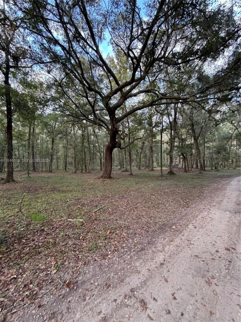 6169 COUNTY ROAD 209 S, Other City – In The State Of Florida FL 32043